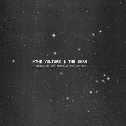 The Vulture & the Swan