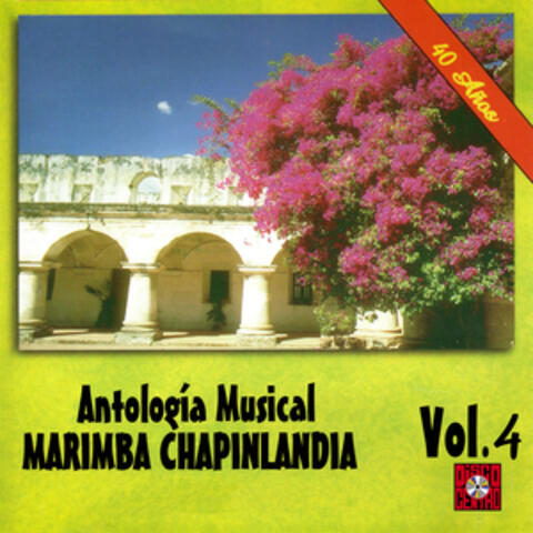 40 Años Antologia Musical, Vol. 4