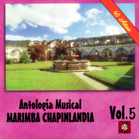 40 Años Antologia Musical, Vol. 5