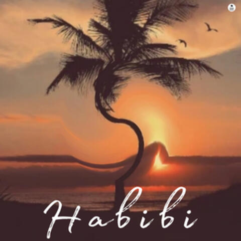 Habibi