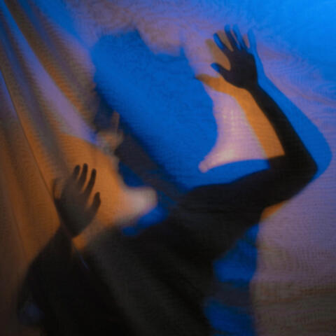 Shadows