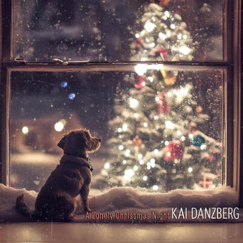 A Lonely Christmas Night