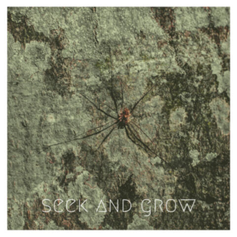 Seek and Grow
