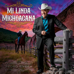 Mi Linda Michoacana