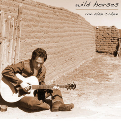 WILD HORSES