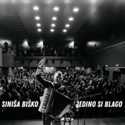 Jedino si blago