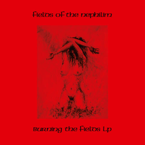 Burning the Fields LP