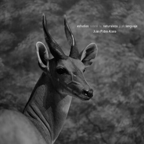 estudios sobre la naturaleza y el lenguaje, Vol. 1