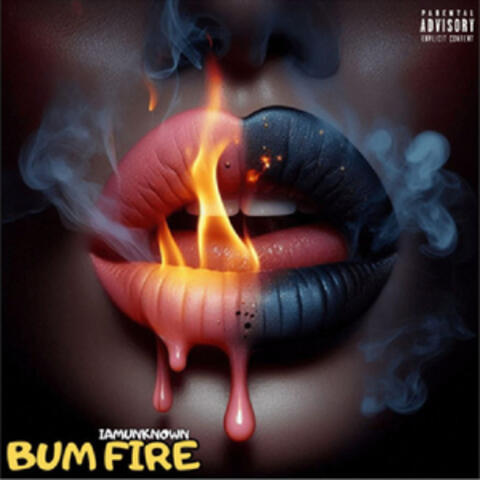 BUM FIRE