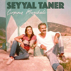 Bir Gece Daha Geçti