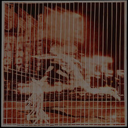 Running a Cemetery Without a License