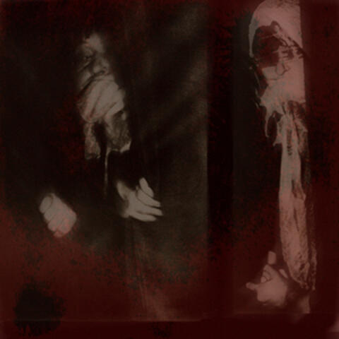 Cryptid Divorce Court