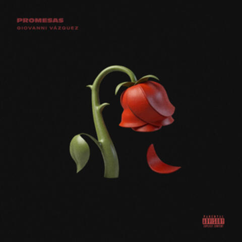 Promesas