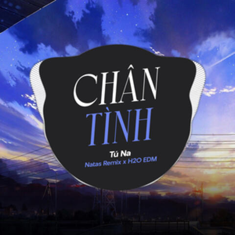 Chân Tình