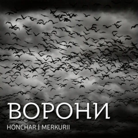 Ворони