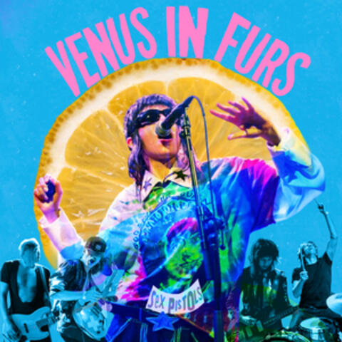 Venus in Furs