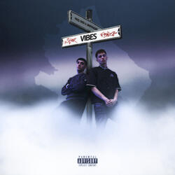 VIBES