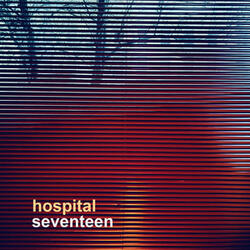 Seventeen