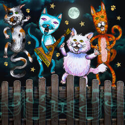 Cat Fight in the NIght