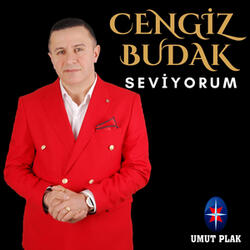 Seviyorum