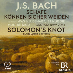 Was mir behagt, ist nur die muntre Jagd, BWV 208: IX. Schafe können sicher weiden (Aria. Pales) [Live]
