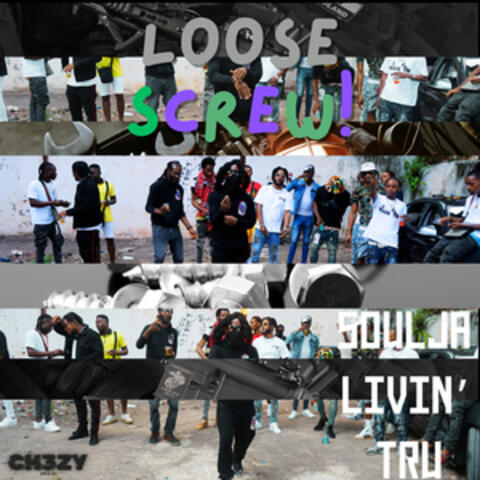 Loose Screw