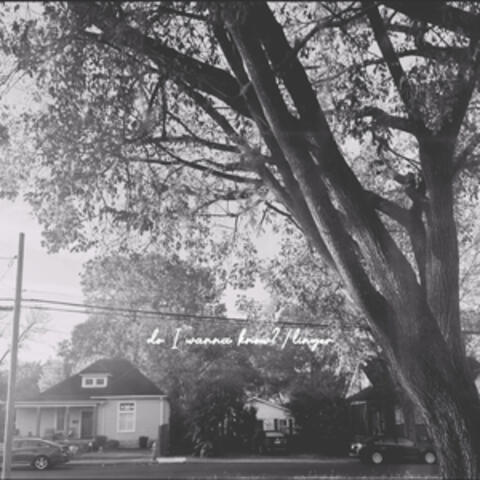 Do I Wanna Know? / Linger