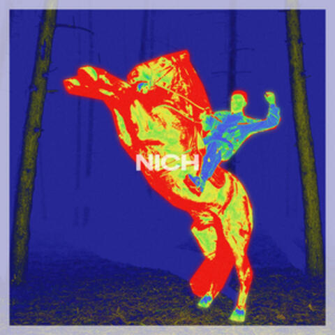 Nich