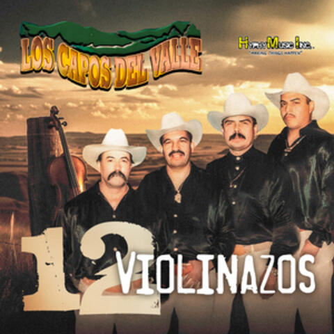 12 Violinazos