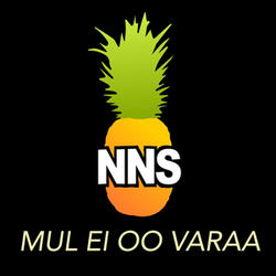 Mul ei oo varaa