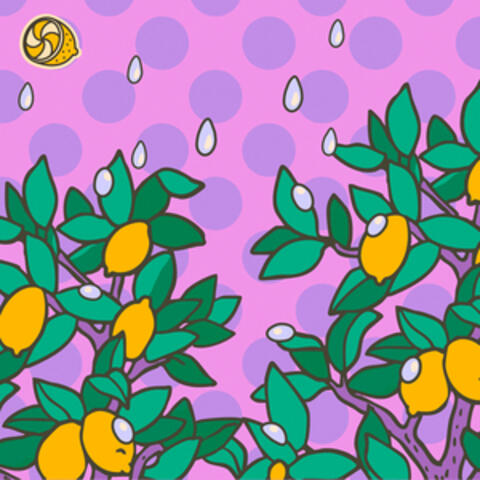 Drizzle
