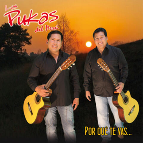 Por Qué Te Vas