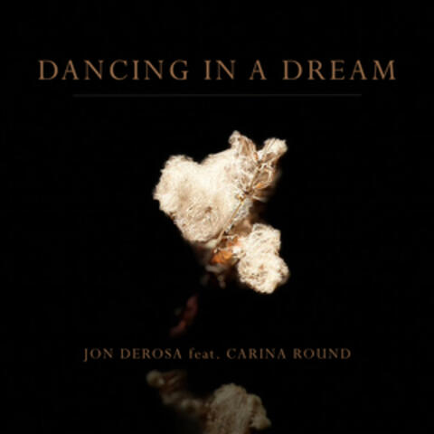 Dancing in a Dream