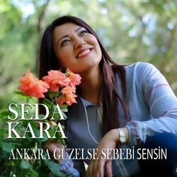 Ankara Güzelse Sebebi Sensin