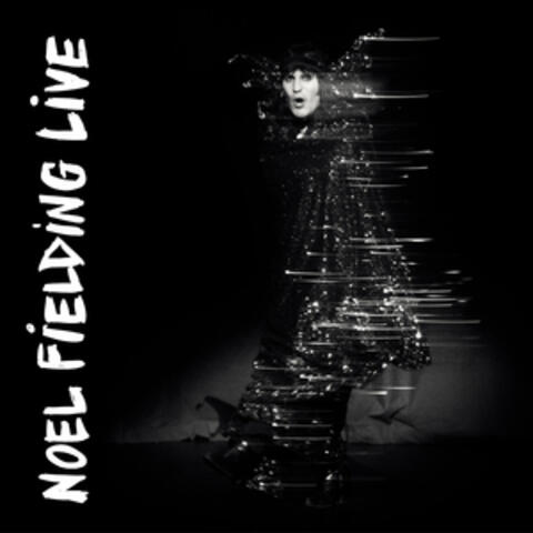 Noel Fielding Live