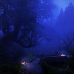 early dawn