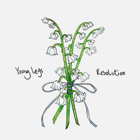 Resolution