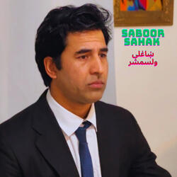 ښاغلی ولسمشر