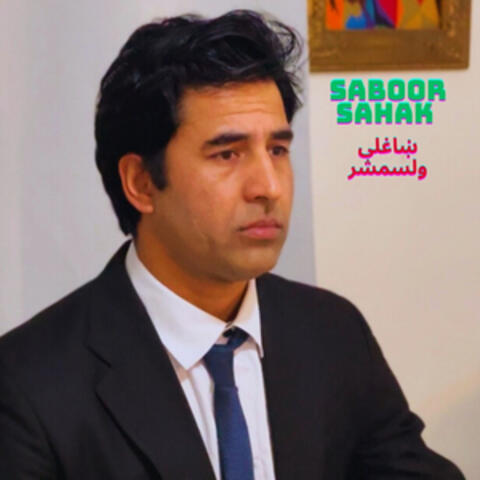 ښاغلی ولسمشر