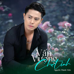 Vấn Vương Chợ Tình