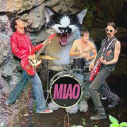 Miao