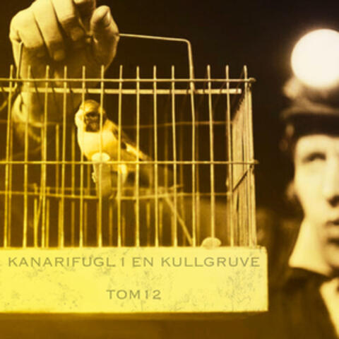 Kanarifugl i en kullgruve