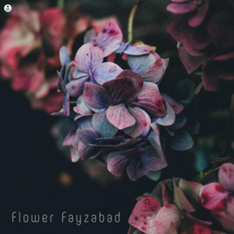 Flower Fayzabad