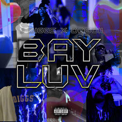 Bay Luv