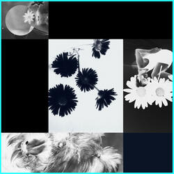 Margaritas & Jarrones