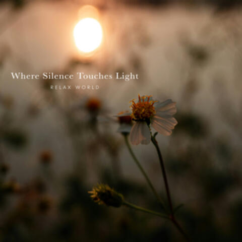 Where Silence Touches Light