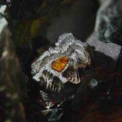 Did You Get My Message?