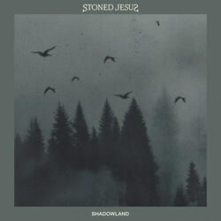 Shadowland