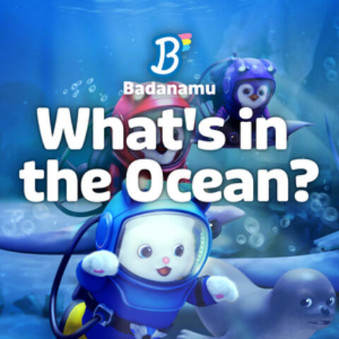 What's in the Ocean?