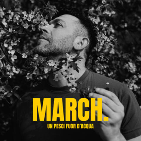 Un Pesci Fuor D'Acqua